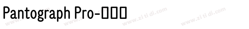 Pantograph Pro字体转换